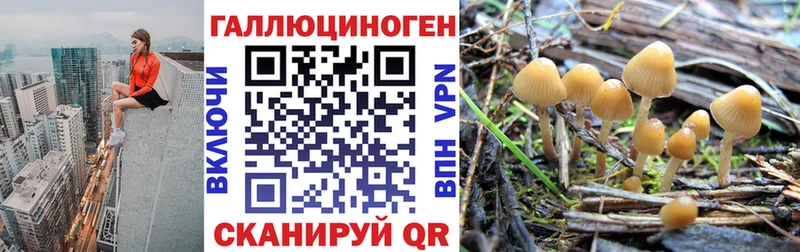 Галлюциногенные грибы GOLDEN TEACHER Мостовской