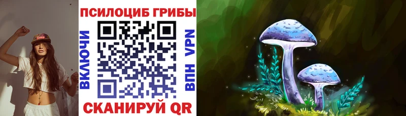 Галлюциногенные грибы Psilocybe  Мостовской 
